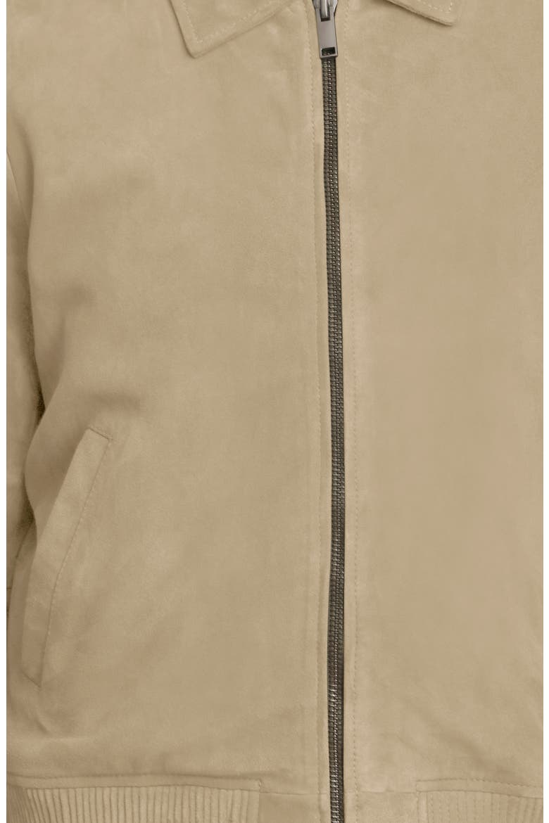 Suede Bomber Jacket, Alternate, color, SAND