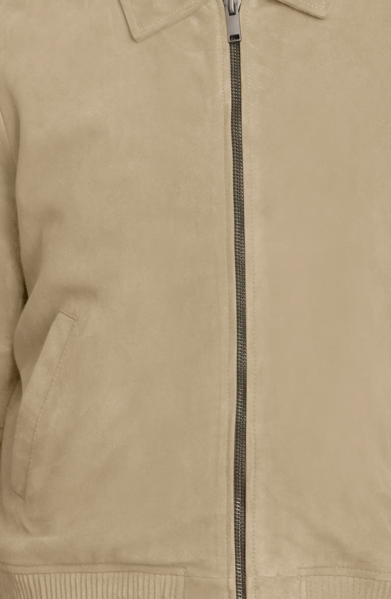 Bagatelle Suede Bomber Jacket, Alternate, color, Sand