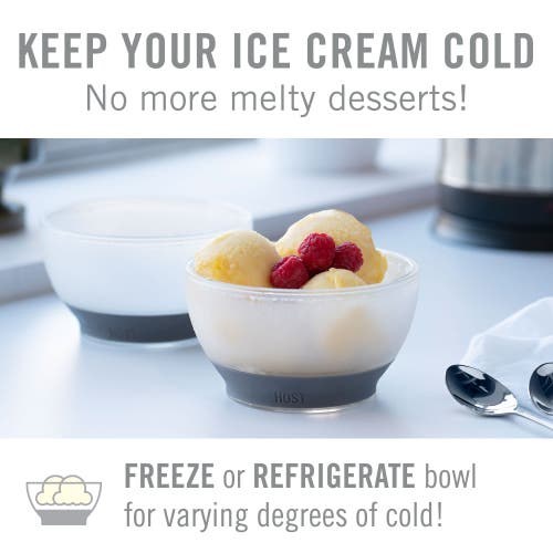Host Ice Cream Freeze Cooling Bowl Set Of 2 In Gray