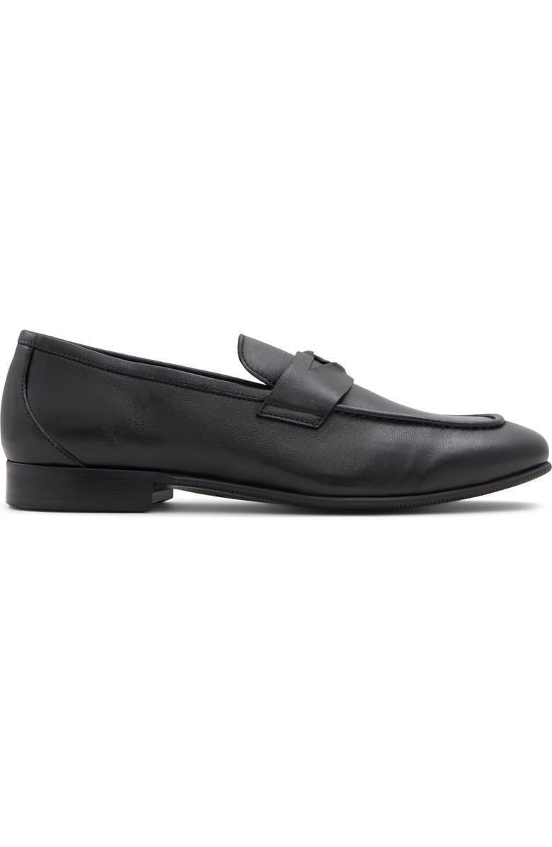 ALDO Esquire Penny Loafer, Alternate, color,