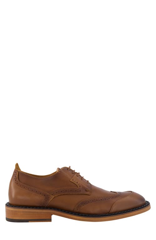 Karl Lagerfeld Paris Wingtip Derby In Cognac