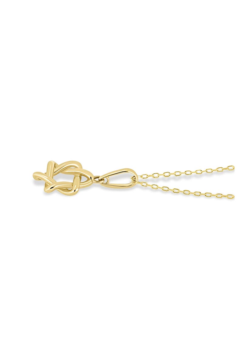 14K Gold Star of David Pendant Necklace, Alternate, color, 14K YELLOW GOLD