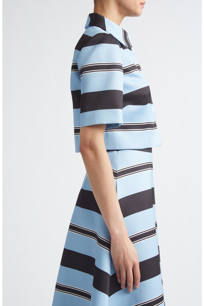 Natalie Stripe Taffeta Faille Crop Button-Up Shirt, Alternate, color, GRAPHIC STRIPE - BLUE BLACK