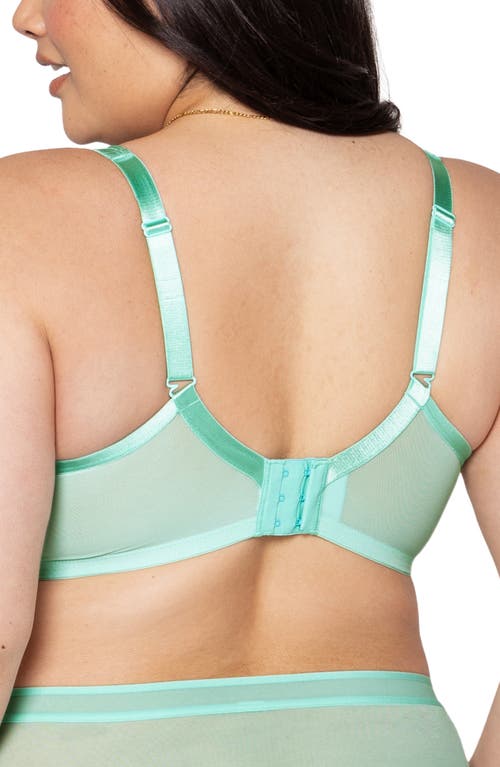 Curvy Couture Underwire Plunge Bra In Mint Chip
