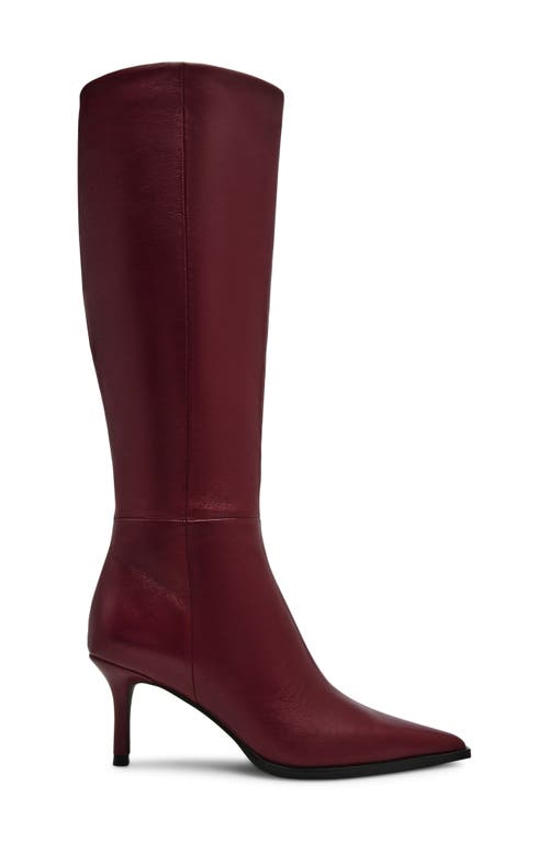 Steve Madden Lingo Pointed Toe Knee High Boot In Multi