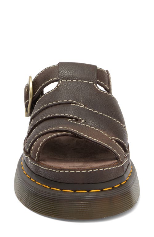 Shop Dr. Martens' Dr. Martens Maxxy Slide Sandal In Kelp Brown