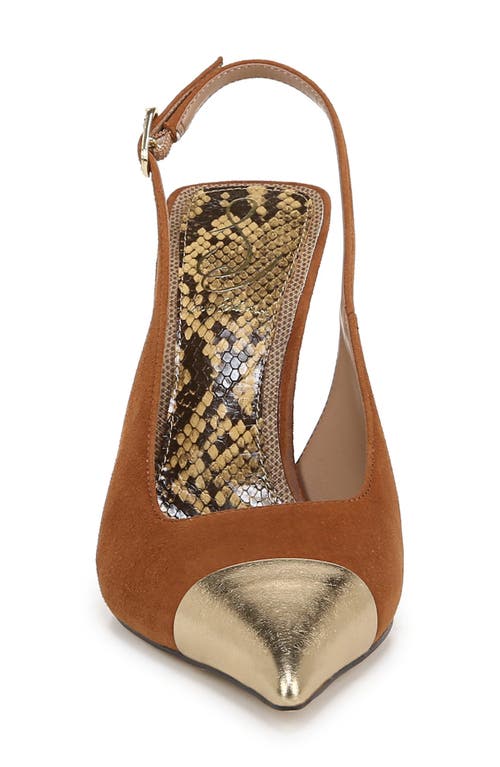 Shop Sam Edelman Odette Slingback Pointed Toe Pump In Frontier Brown/amber Gold