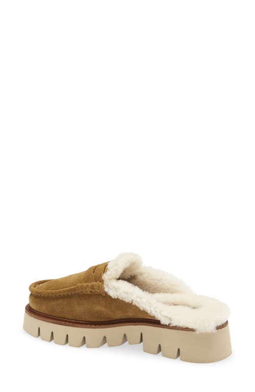 Pedro Garcia Savy Shearling-lined Platform Mules In Brown