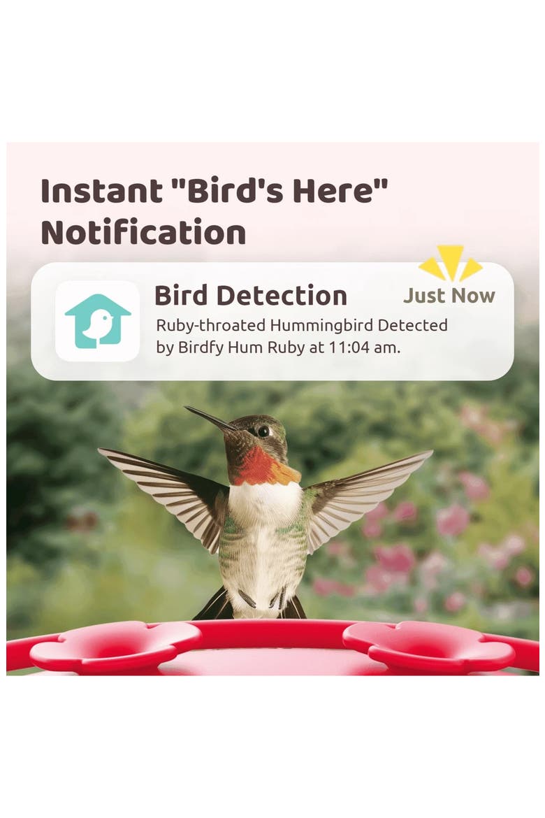 Ruby Smart Hummingbird Feeder, Alternate, color, WHITE/ RED