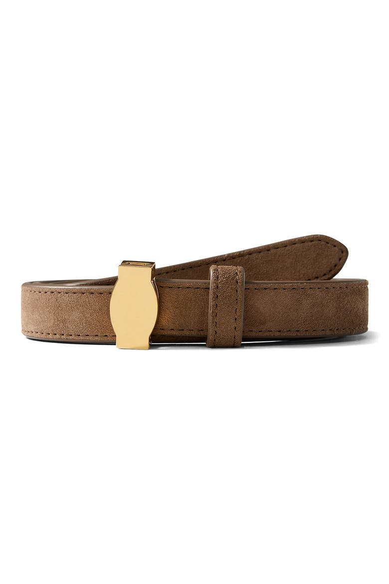 Dash Suede Belt, Alternate, color, BARK