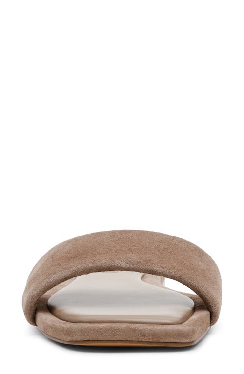 Shop Steve Madden Lumina Slide Sandal In Taupe Suede