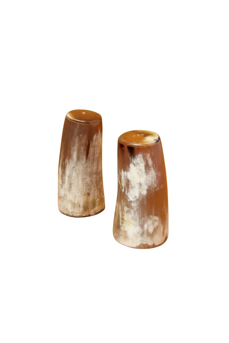 Horn Salt & Pepper Set, Large, Main, color, Brown
