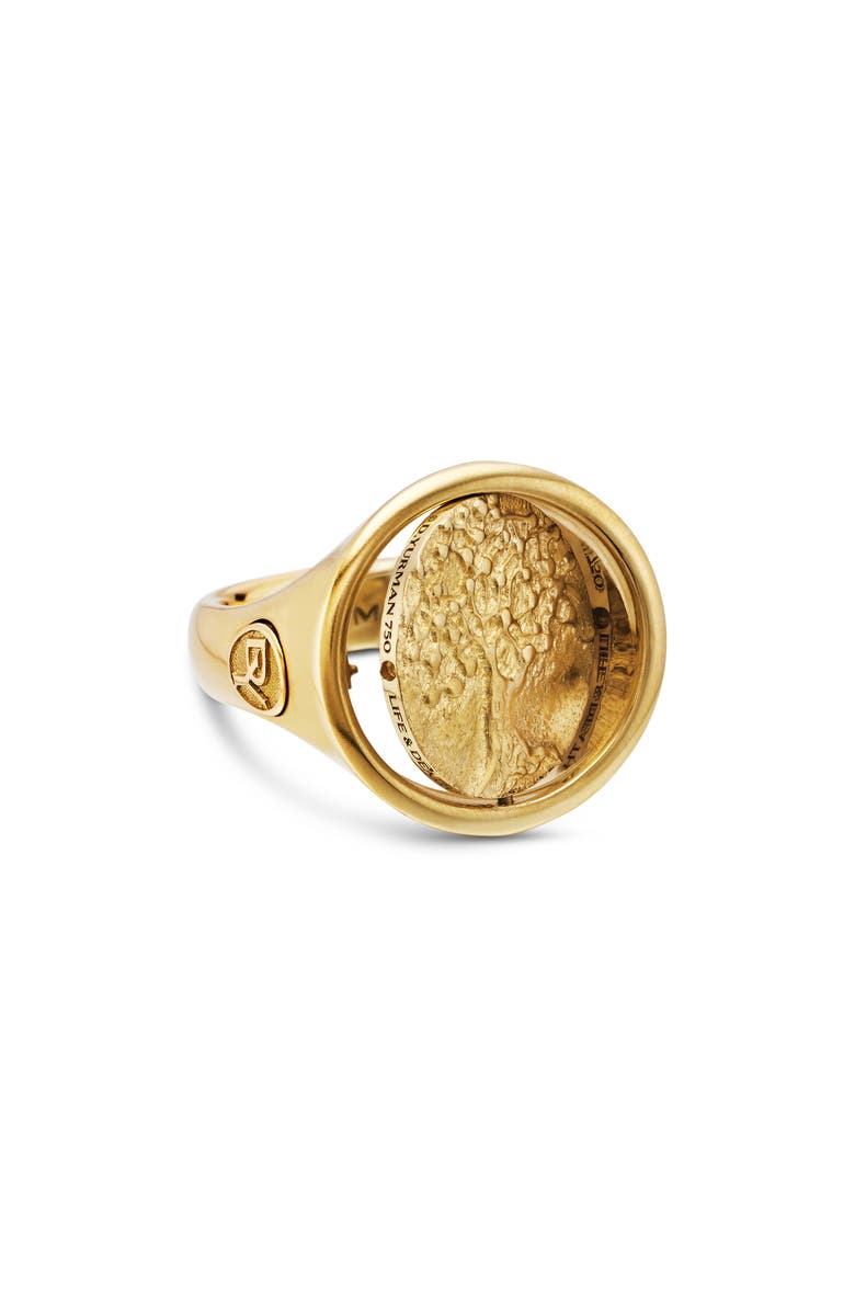 David Yurman Men's Life & Death Signet Ring, Alternate, color, 18K Yellow Gold