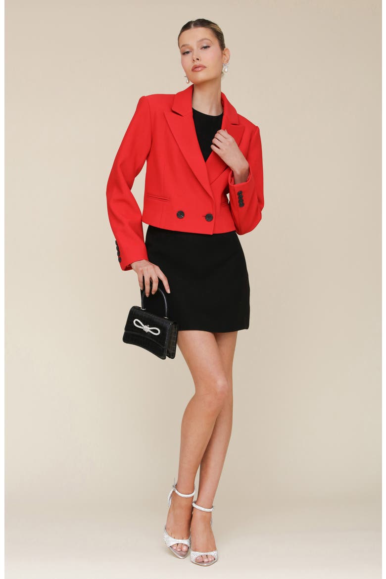 Boxy Crop Blazer, Alternate, color, RED
