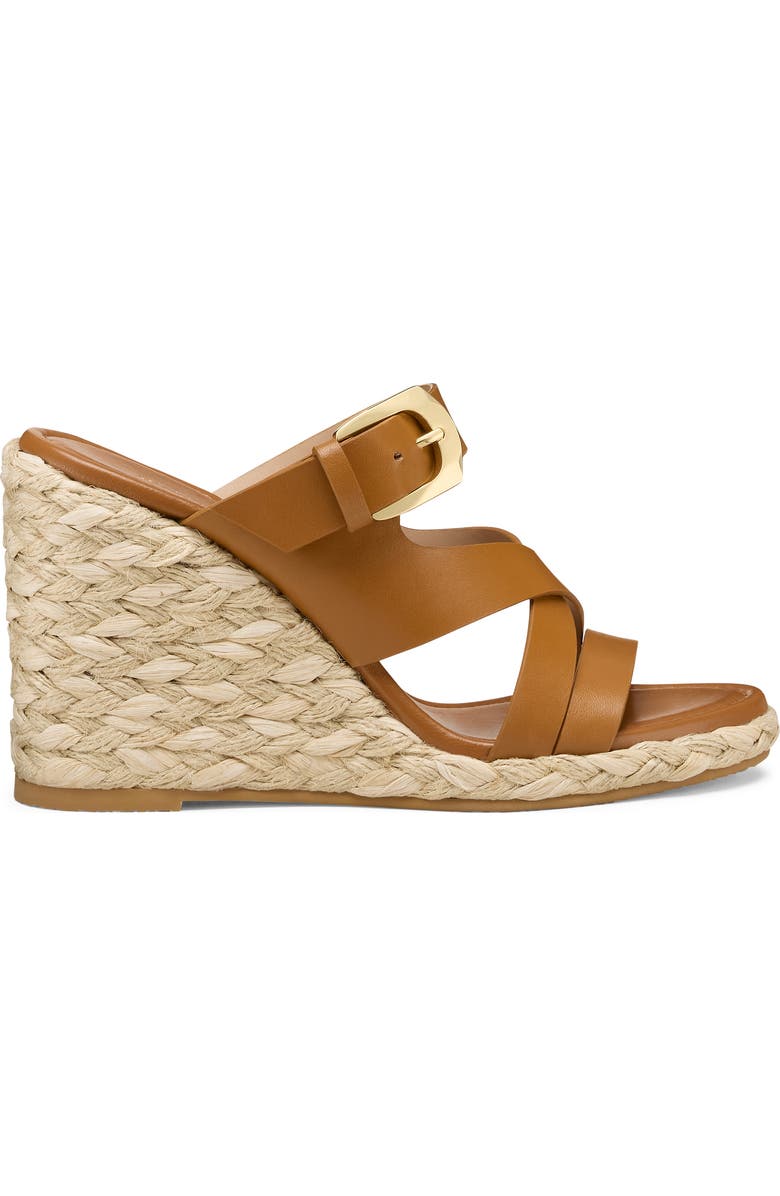 Stuart Weitzman Sai Espadrille Wedge Sandal, Alternate, color, Boho Tan