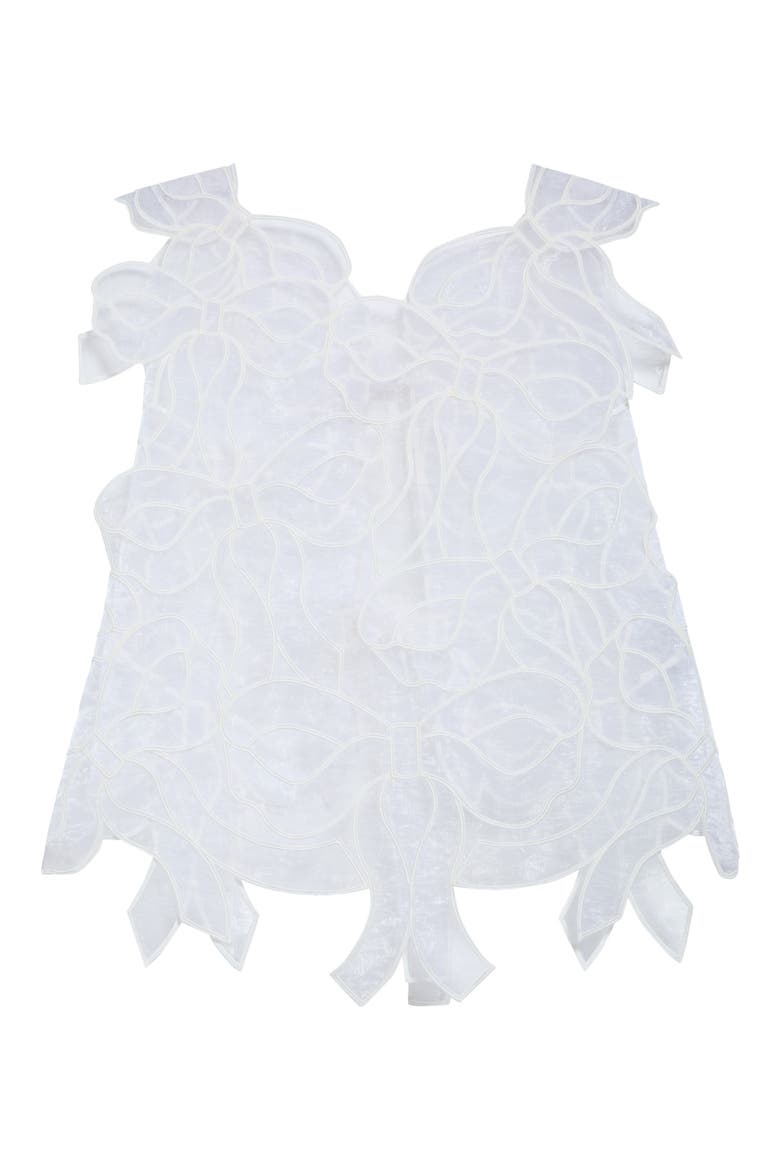Aya Embroidered Crop Organza Top, Alternate, color, WHITE