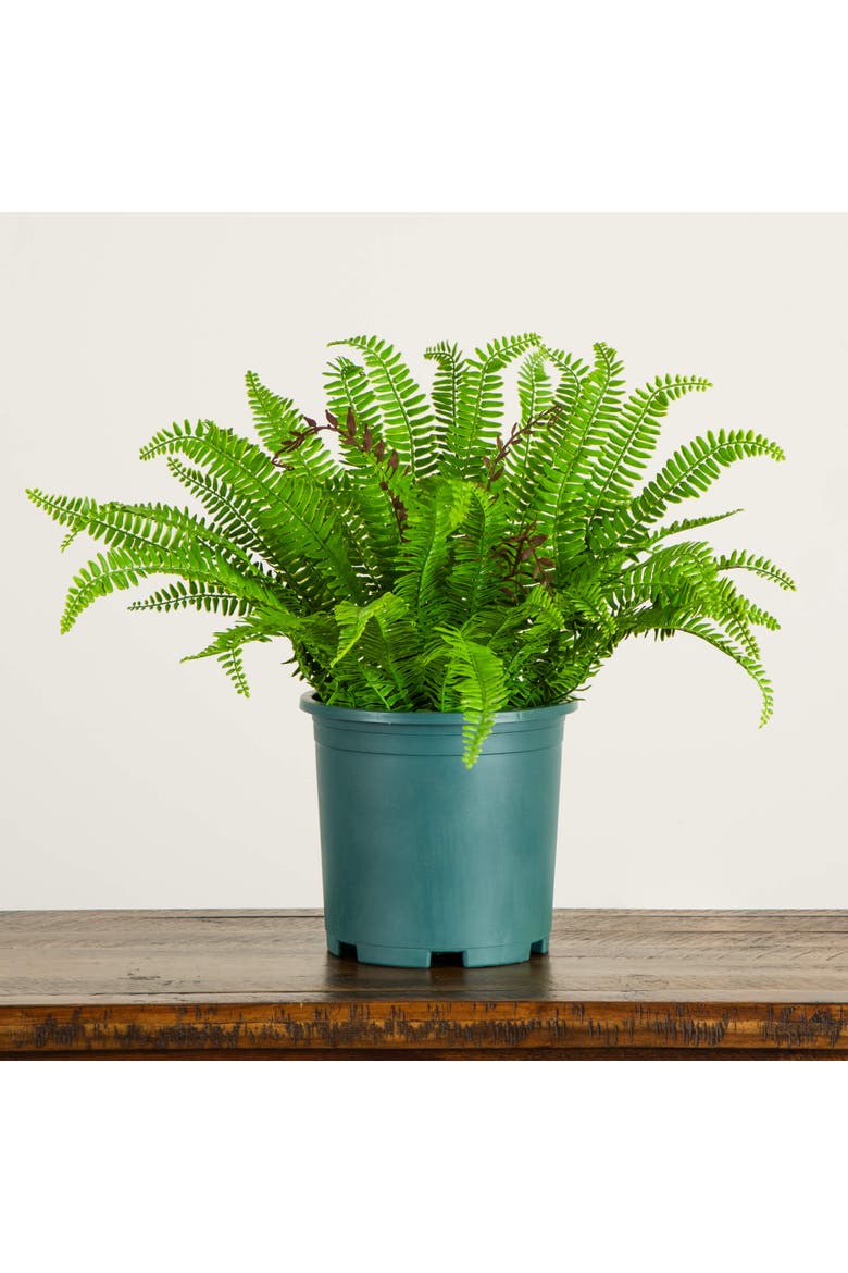 23-in UV Resistant Artificial Real Touch Boston Fern Plant, Alternate, color, Green