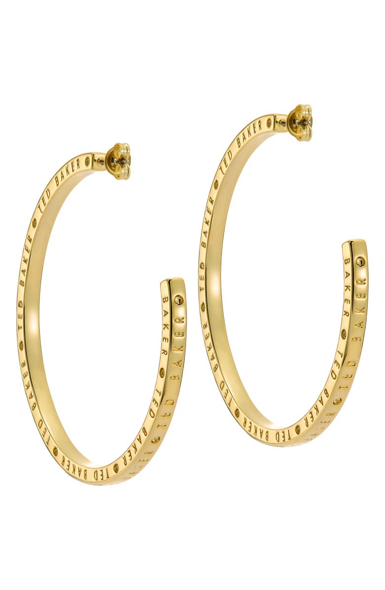 Ted Baker Loa Logo Hoop Earrings, Alternate, color, 