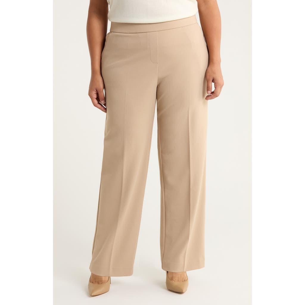 Ak Anne Klein Straight Leg Pants In Neutral