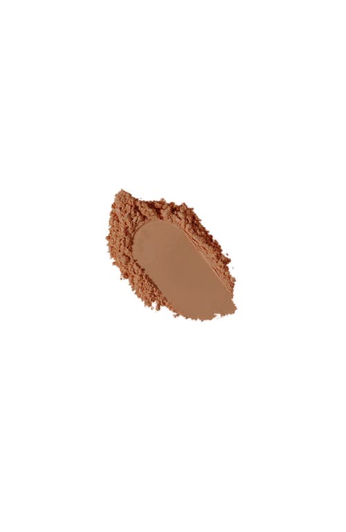 Youngblood Mineral Cosmetics Loose Mineral Rice Powder In Brown