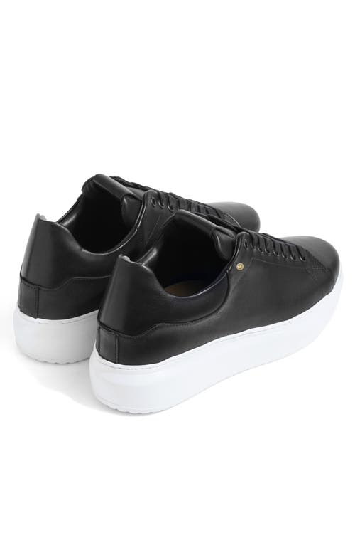 Stinaa.j Sneakers In Black Leather White Sole
