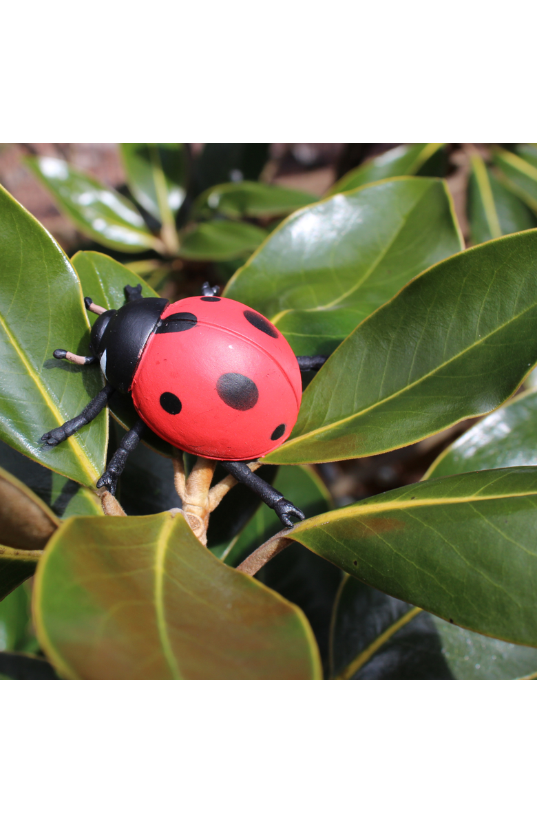 Safari Ltd. Life Cycle Of A Ladybug, Alternate, color, NO COLOR