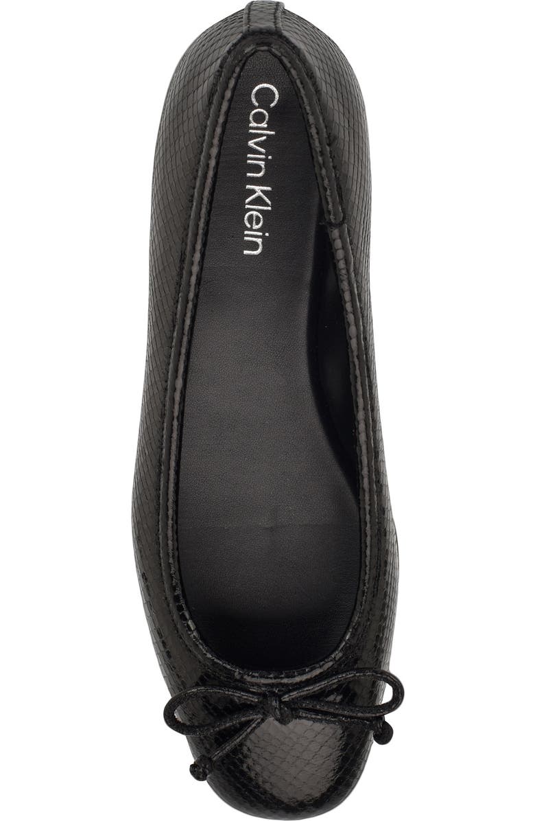 Calvin Klein Bronte Ballet Flat, Alternate, color, Black Print