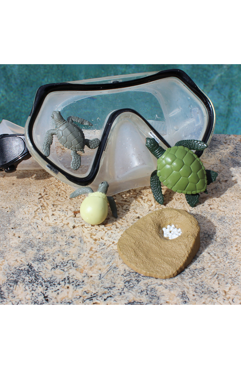 Safari Ltd. Life Cycle Of A Green Sea Turtle, Alternate, color, NO COLOR