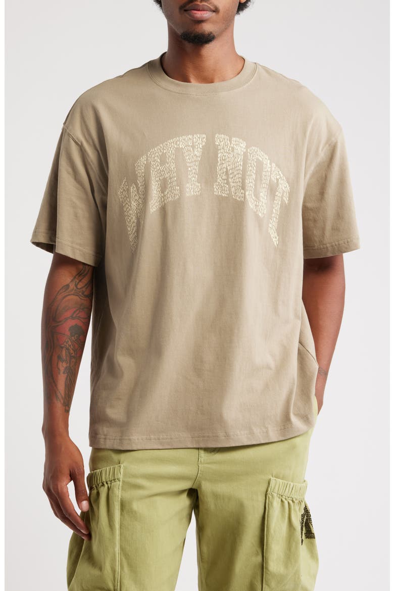 Why Not Oversize Cotton T-Shirt, Main, color, TAUPE