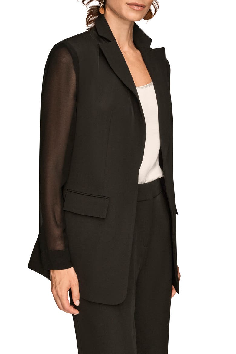 Sheer Sleeve Blazer, Alternate, color, BLACK