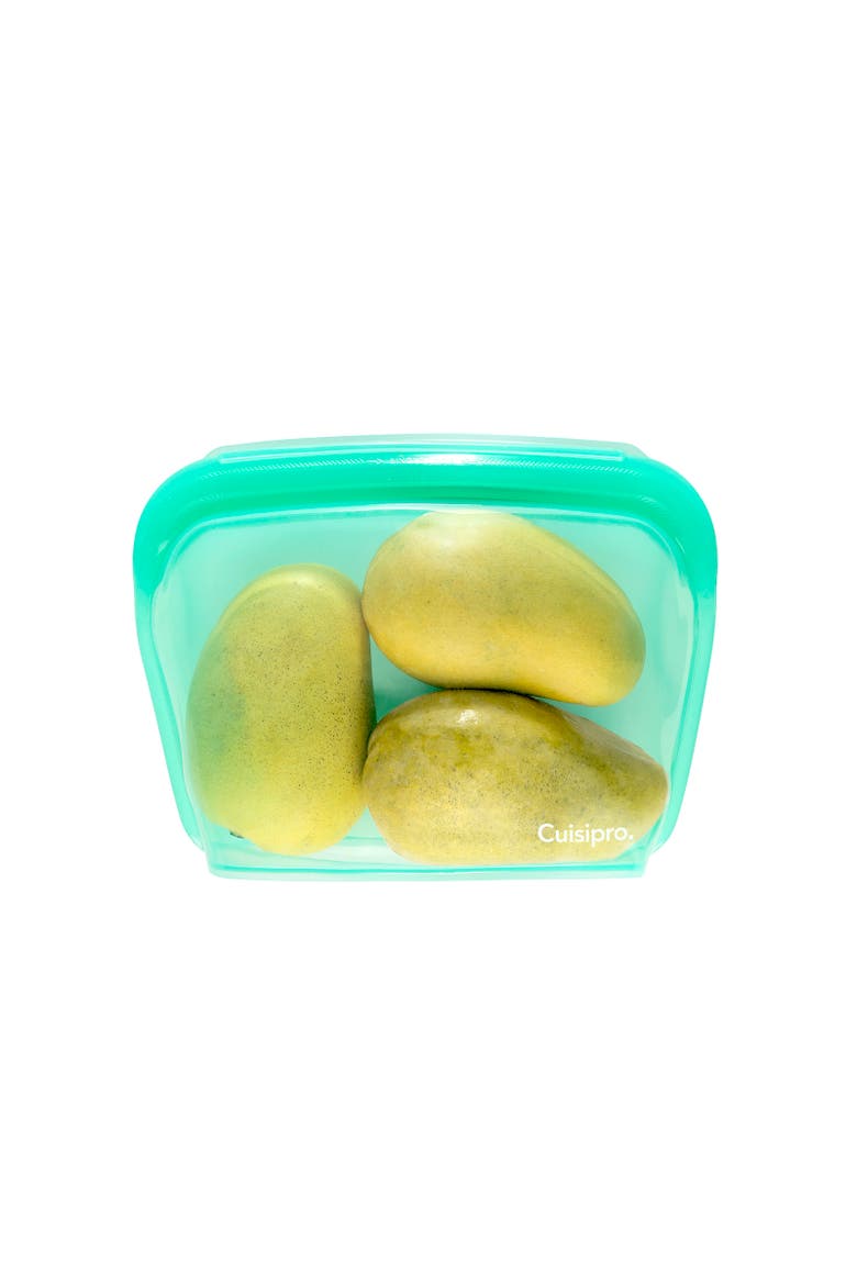 Pack-It Silicone Reusable Stand Up Storage Bag, 1300ml/44 oz, Alternate, color, Green