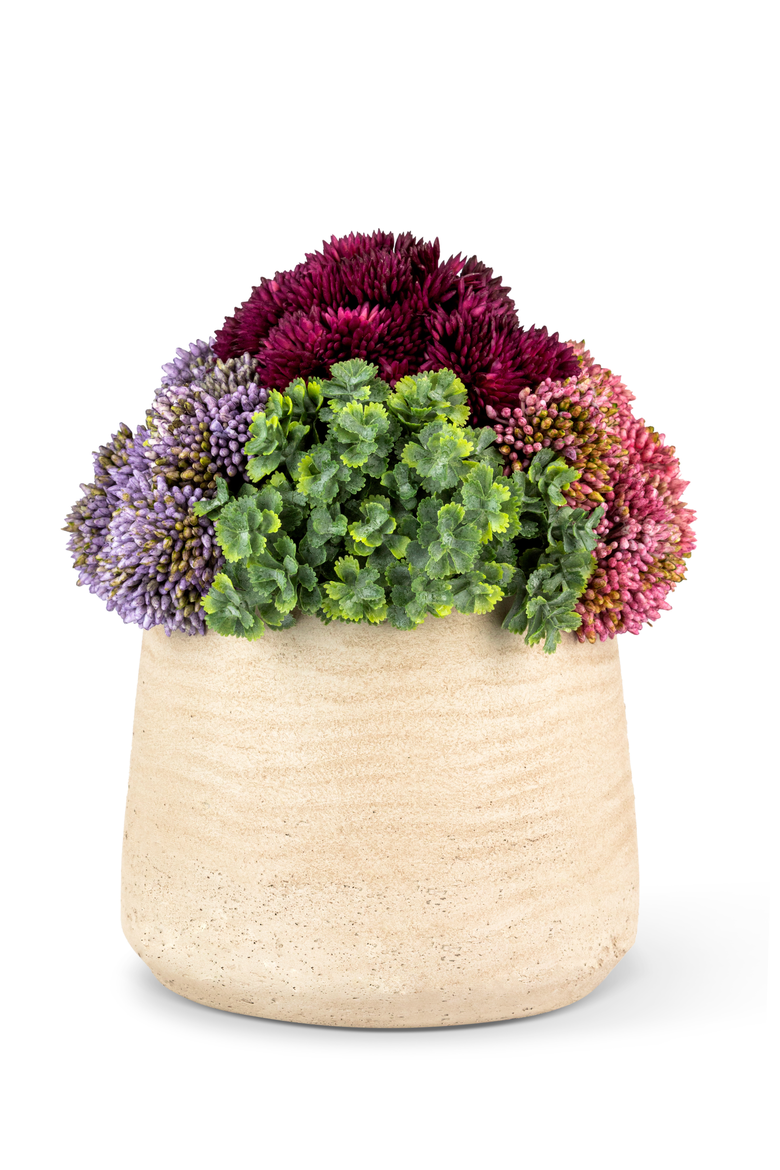 Neriah Mini Sedum Arrangement, Alternate, color, Ash