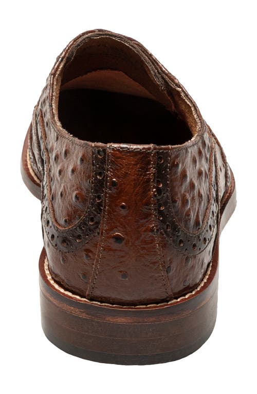 Stacy Adams Gennaro Wingtip Derby In Cognac