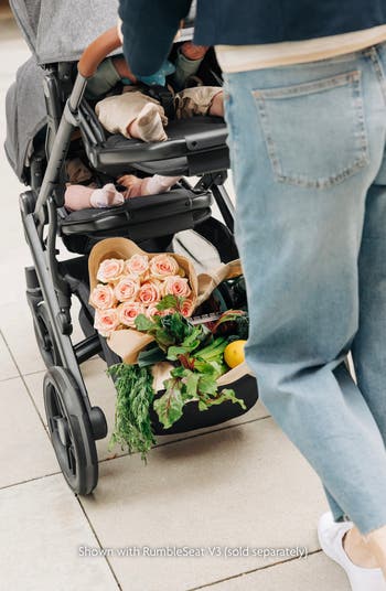 VISTA V3 Stroller