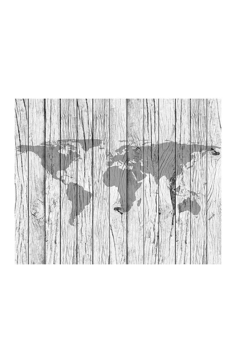 Wallpops World Map Timber Wall Mural, Main, color, 