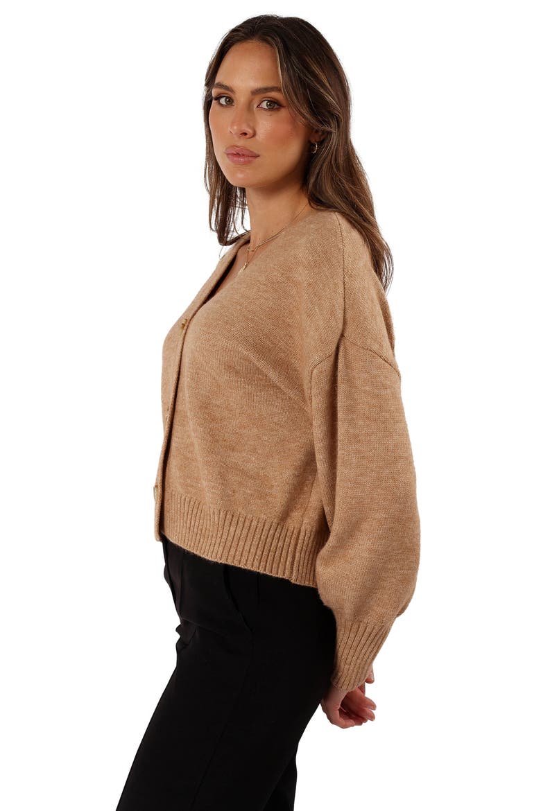 Isabel V-Neck Cardigan, Alternate, color, MEDIUM BEIGE