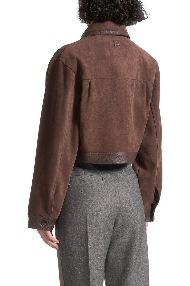 Denise Suede & Pebbled Leather Jacket, Alternate, color, Brown