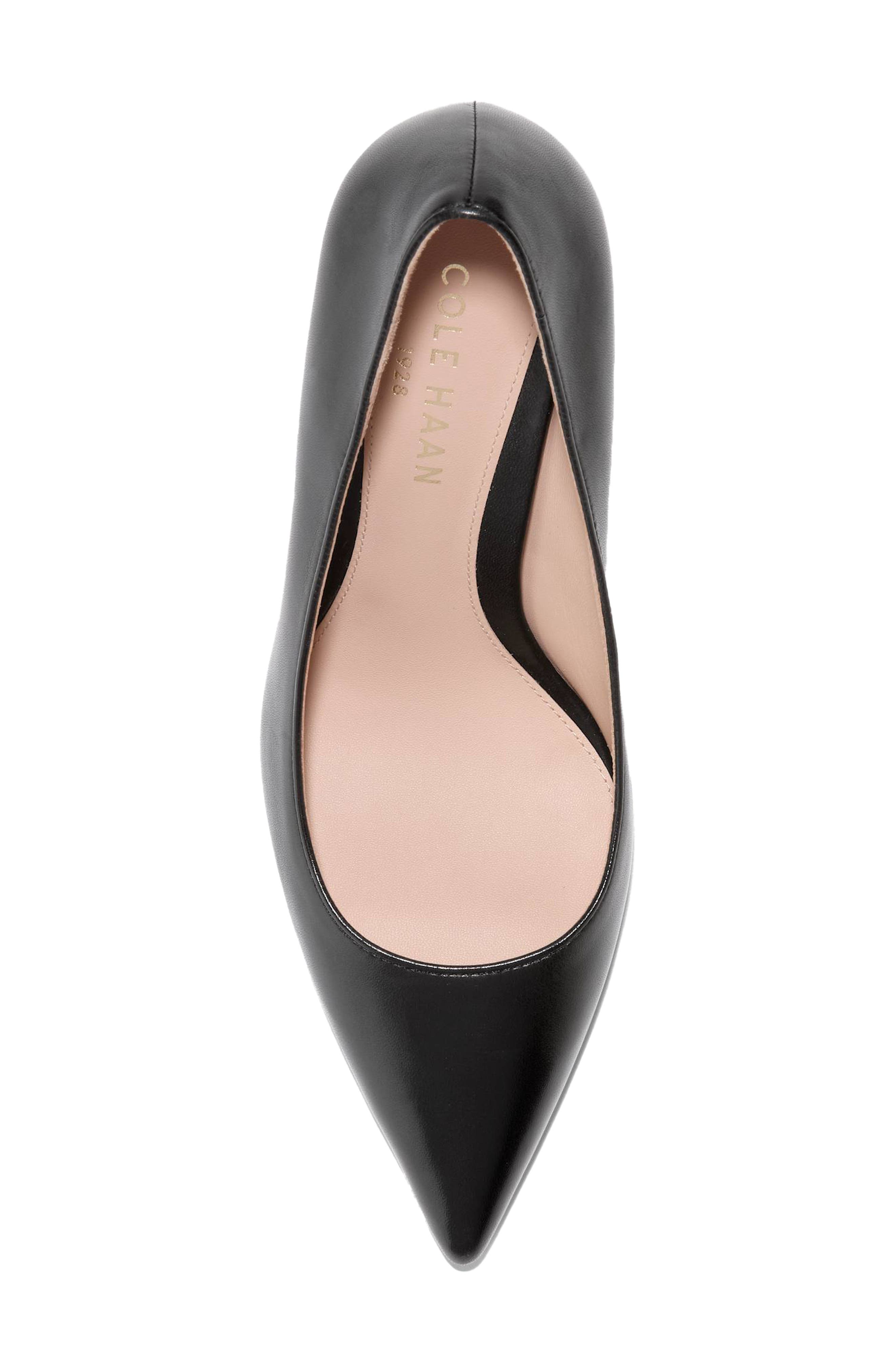 Cole Haan Mckelya Pointed Toe Pump, Alternate, color, 