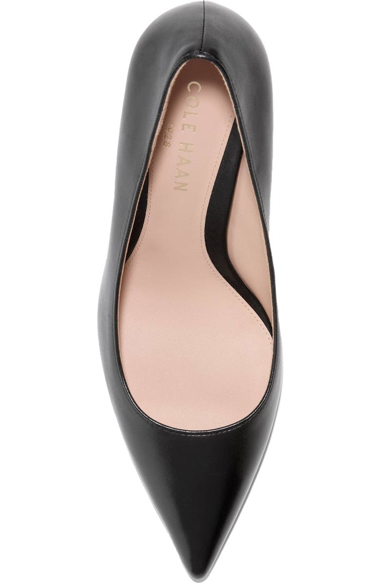 Cole Haan Mckelya Pointed Toe Pump, Alternate, color,