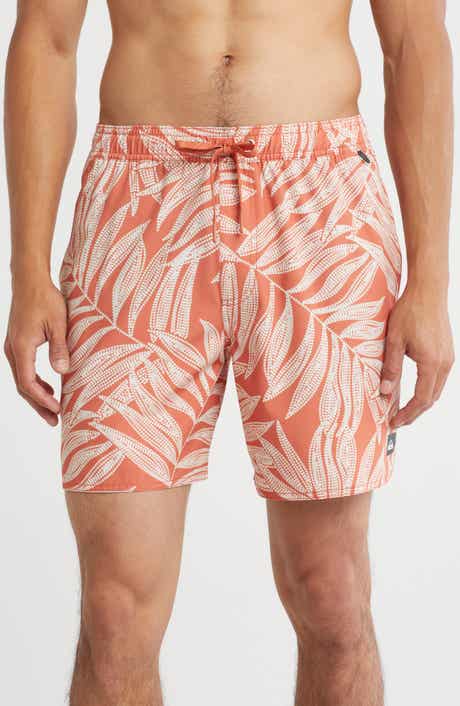 Quiksilver Palu Bay Volley Swim Trunks