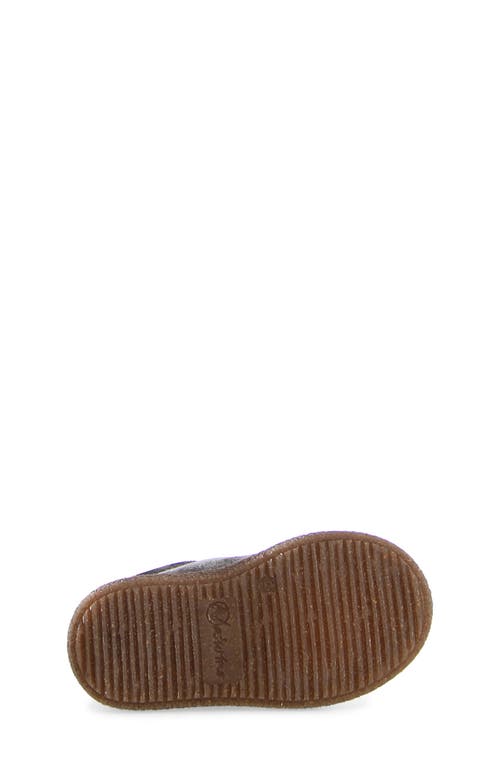 Shop Naturino Albus Star Sneaker In Anthracite/copper