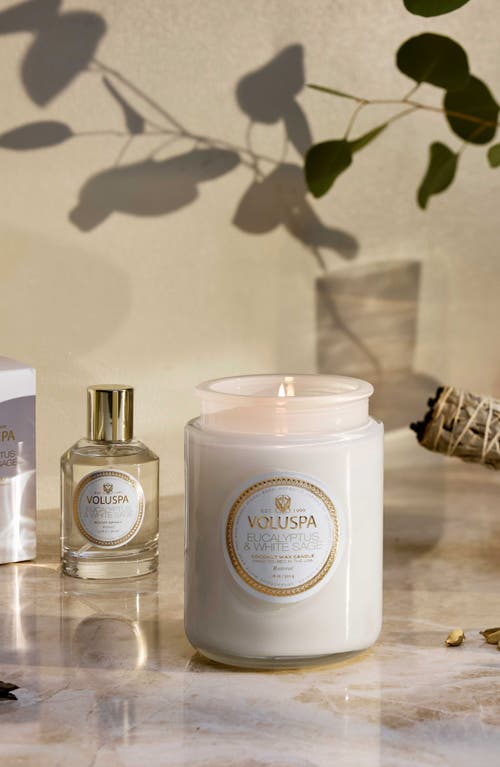 Voluspa Eucalyptus & White Sage Large Jar Candle In Eucalyptus & White Sage