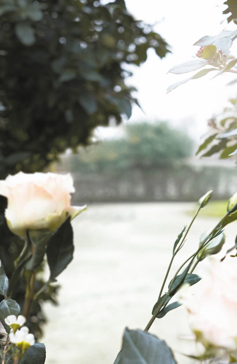 Maison Margiela Replica Promenade in the Gardens Fragrance, Alternate, color, 