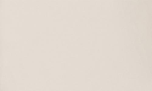 Deluc Grayson Sheer Shirt In Neutral