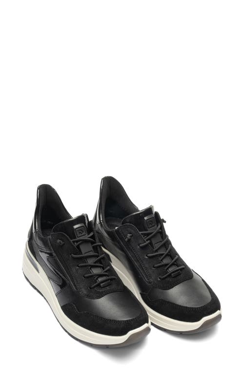 Ara Galicia Sneaker In Black