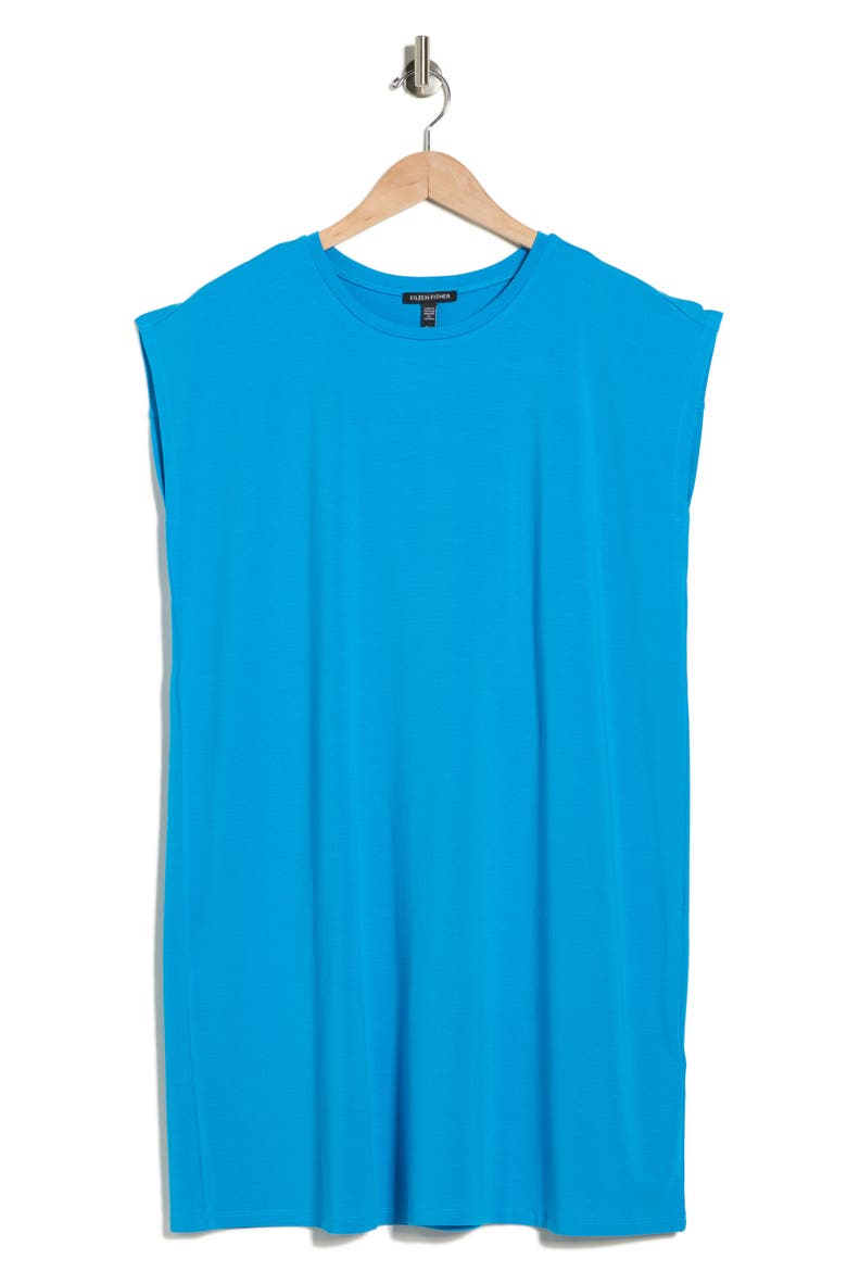 Crewneck Boxy Dress, Alternate, color, BLUE