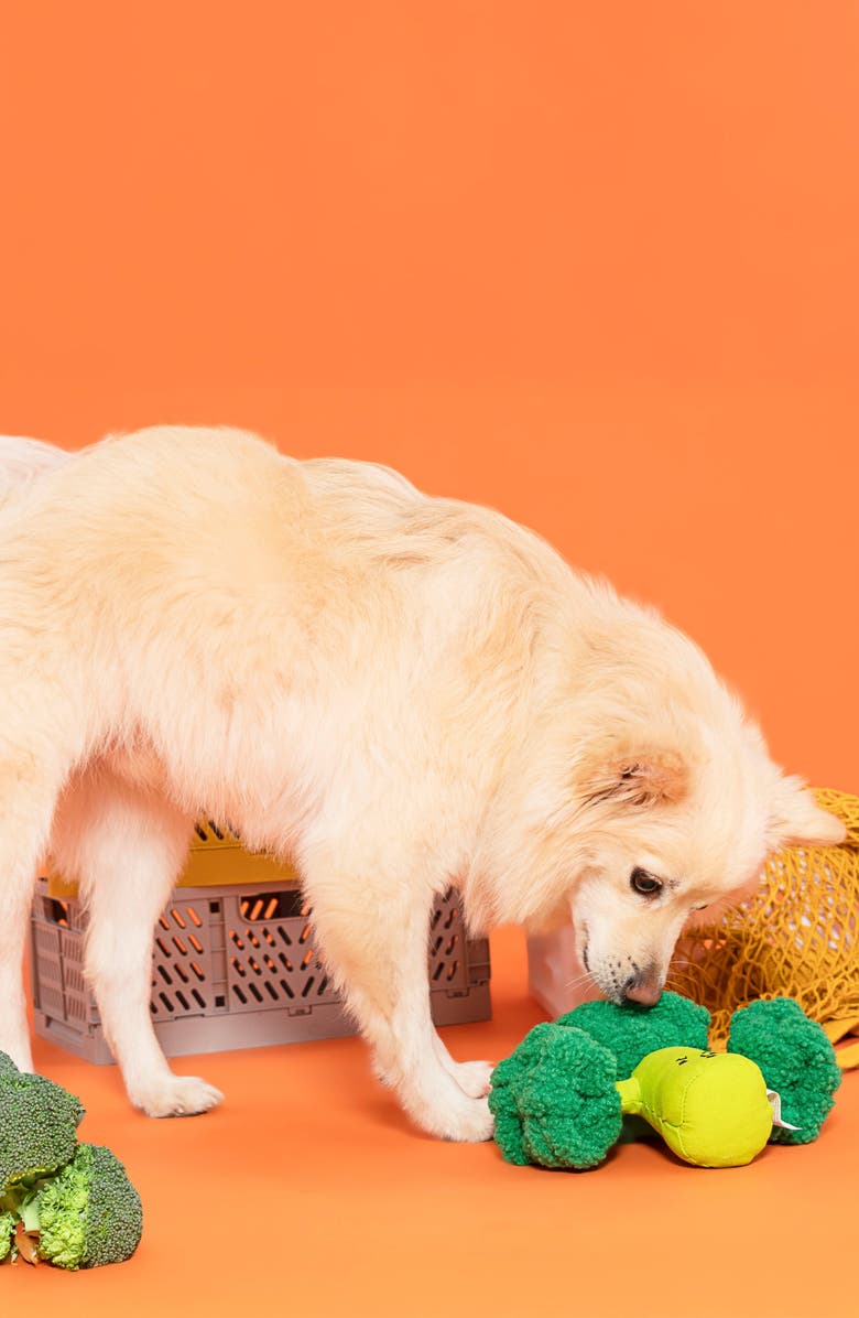 the furryfolks Broccoli Nosework Toy, Alternate, color, Green