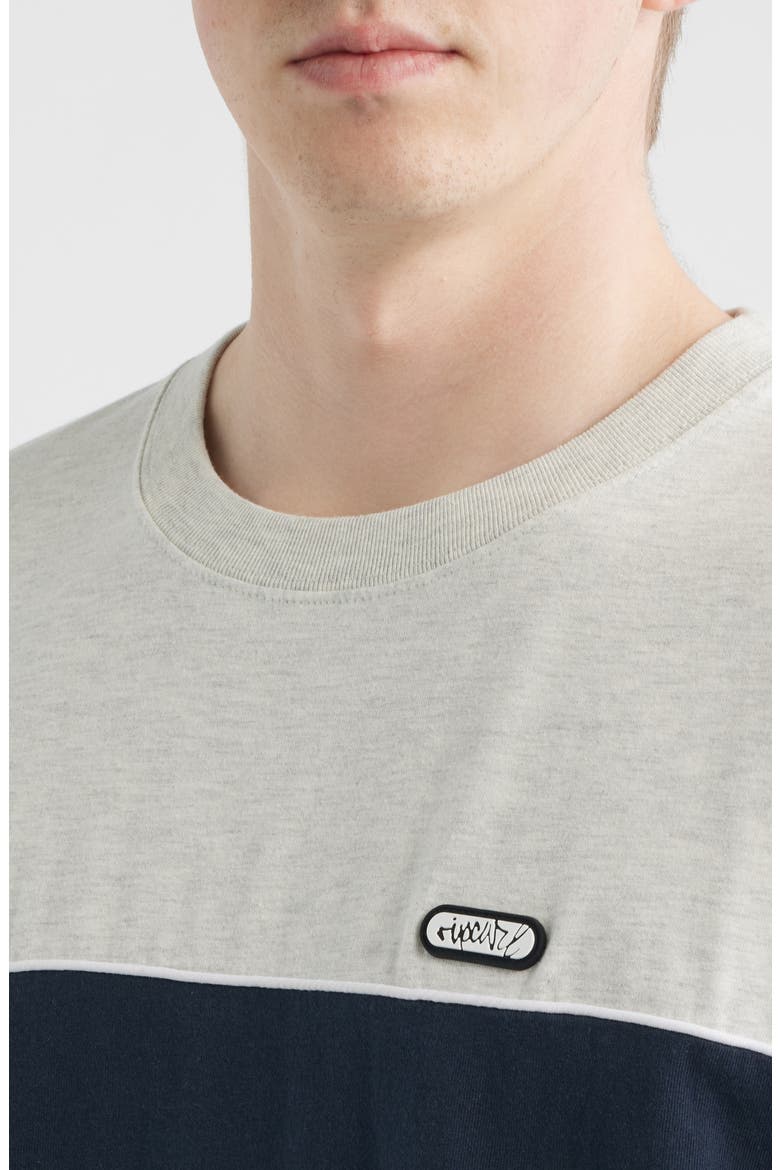 Halfa Panel Cotton T-Shirt, Alternate, color, GREY MARLE