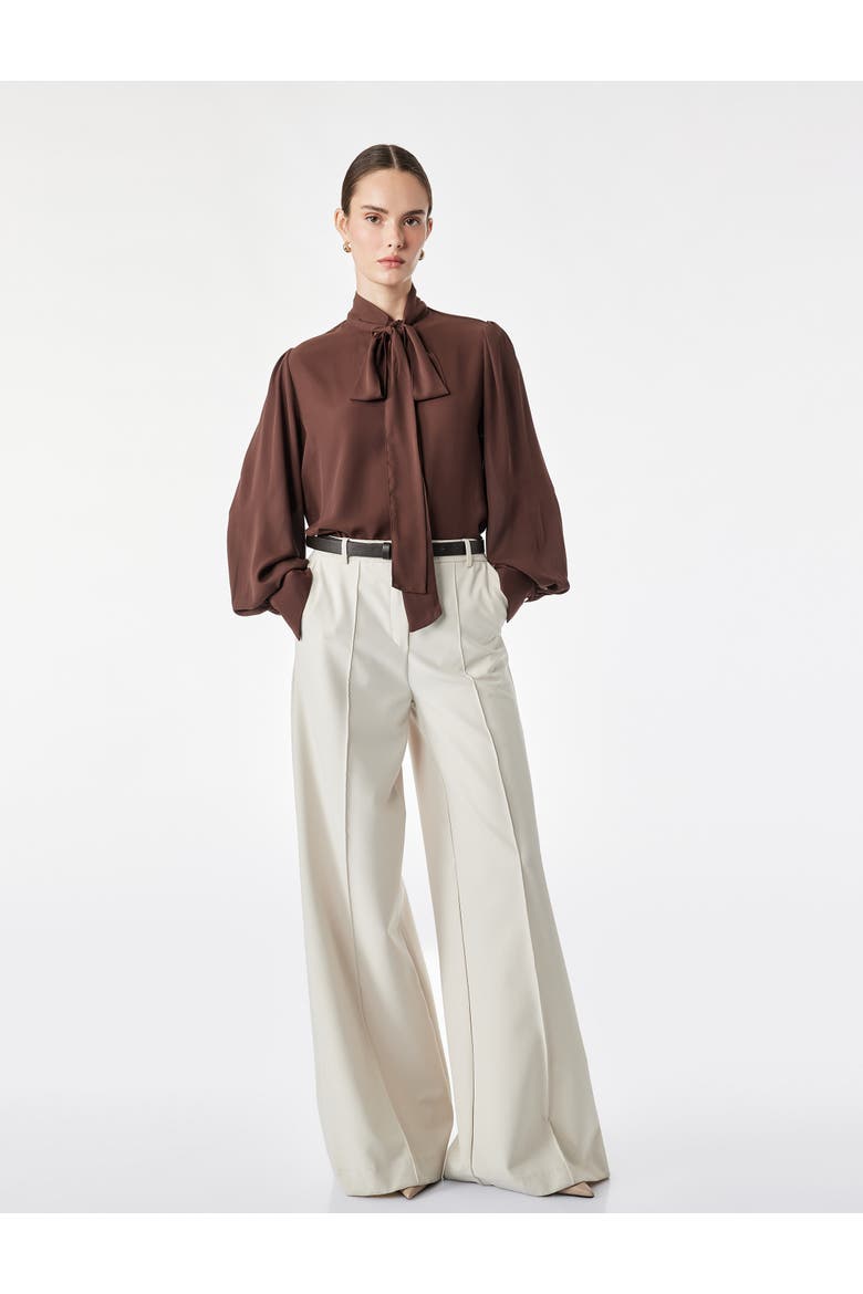 Long Sleeve Blouse, Main, color, COFFEE