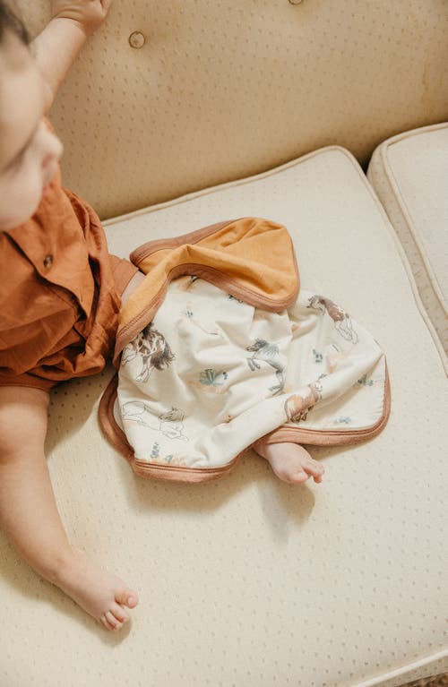 Copper Pearl Montana 2-pack Security Blankets In Multi